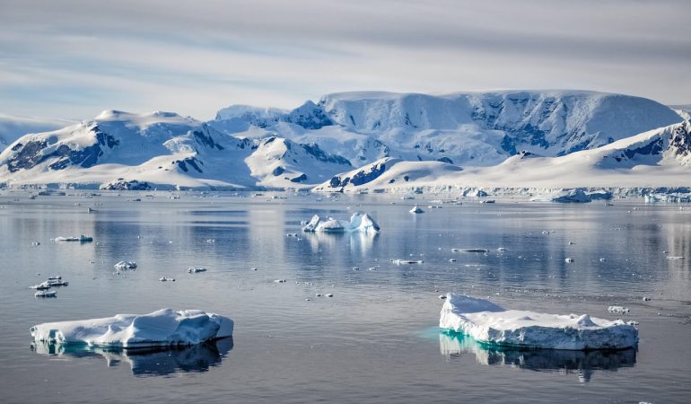 Croisière en Antarctique : quelles compagnies choisir pour une expérience unique ?